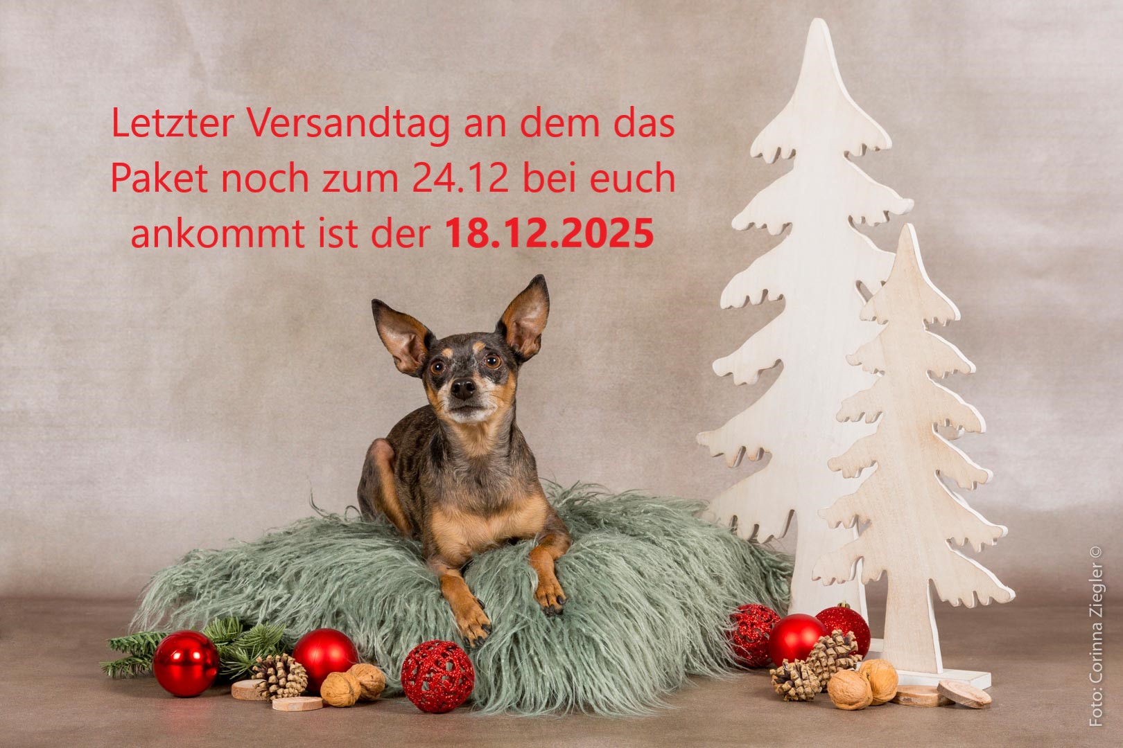 Hannisballshop.de-Logo