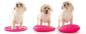 Preview: Balancekissen "Strukture", 2 Farben