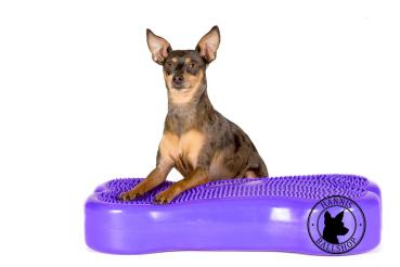 Preview: Hannis BONE