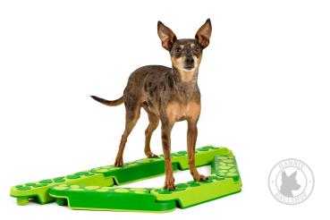 Preview: Balance Balken grün