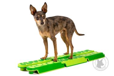 Balance Balken grün