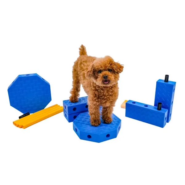 FitPaws FitKinect Core, jetzt vorbestellen