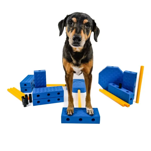 FitPaws FitKinect Xtra, jetzt vorbestellen