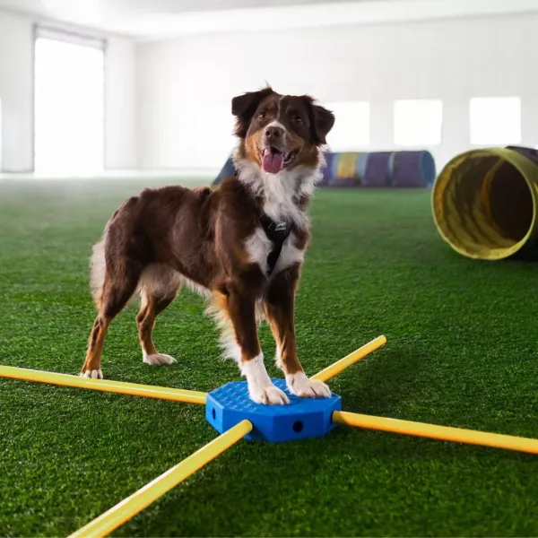 Fit Paws Fitkinect Upgrade Kit - Octagon, jetzt vorbestellen