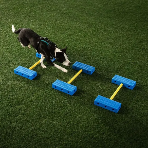 FitPaws FitKinect Core, jetzt vorbestellen