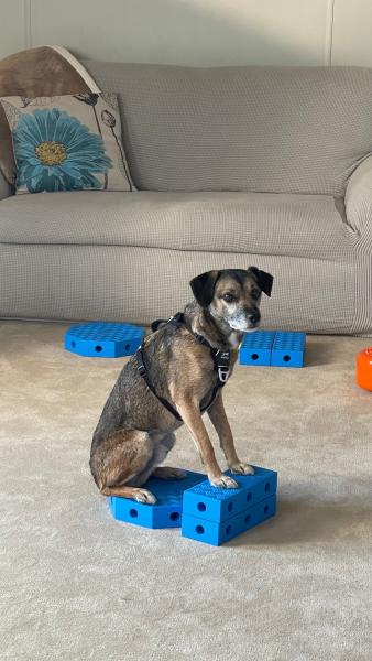 Fitkinect Upgrade Kit - Rectangles, jetzt vorbestellen