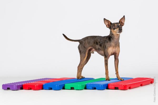 Bodentarget hoch 6 Varianten