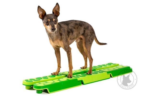 Balance Balken grün